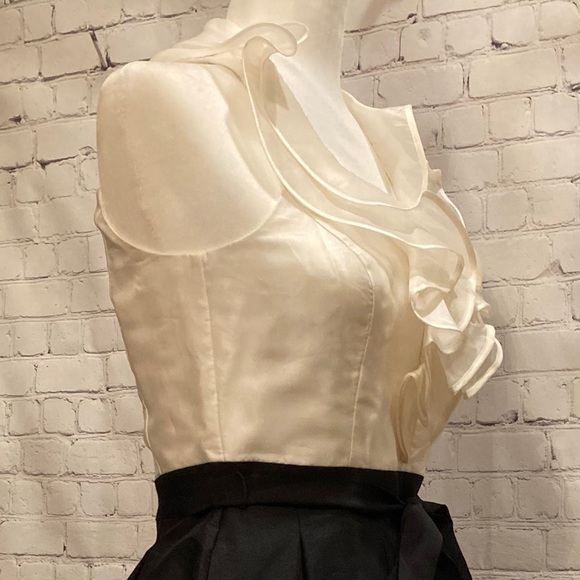 White & Black Market Ruffled Collar Dress: Size 2 - Picture 7 of 12